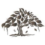 HAL Public School logo