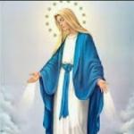 Mary Immaculate School logo