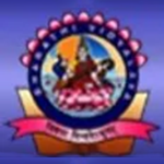 Bharathi Vidyalaya Senior Secondary School logo