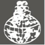 Bhatnagar International School logo