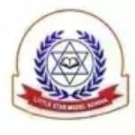 Little Star Model School logo