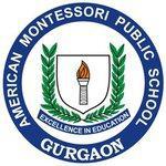 American Public School logo