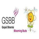 Gopal Sharma Blooming Buds Pre School logo