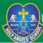 Holy Angels High School And Junior College logo