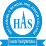 Holy Angels School And Junior College logo