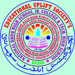 National Urdu High School And Junior College logo